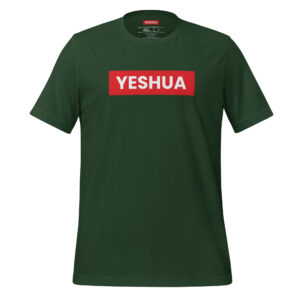 Yeshua Box Logo Tee - Forest