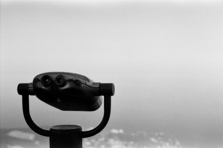 The Principle of Vision