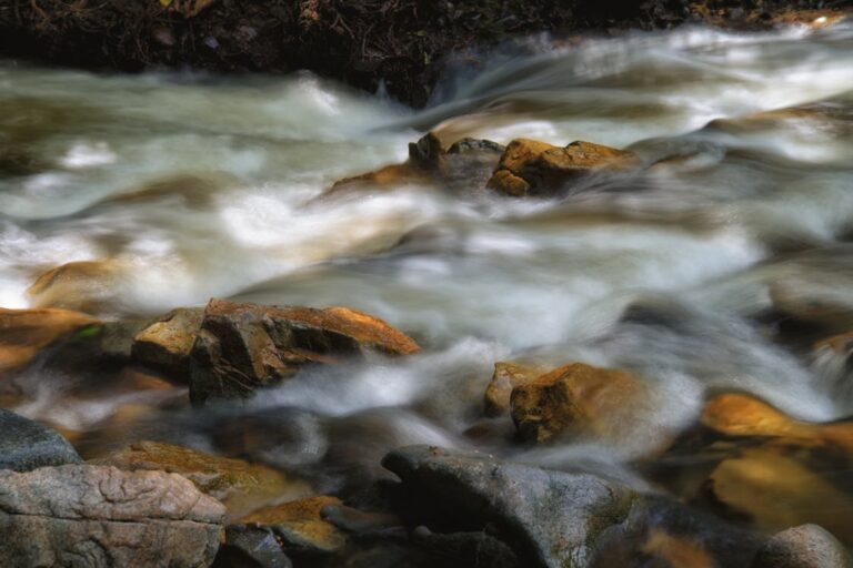 The Principle of Adaptability