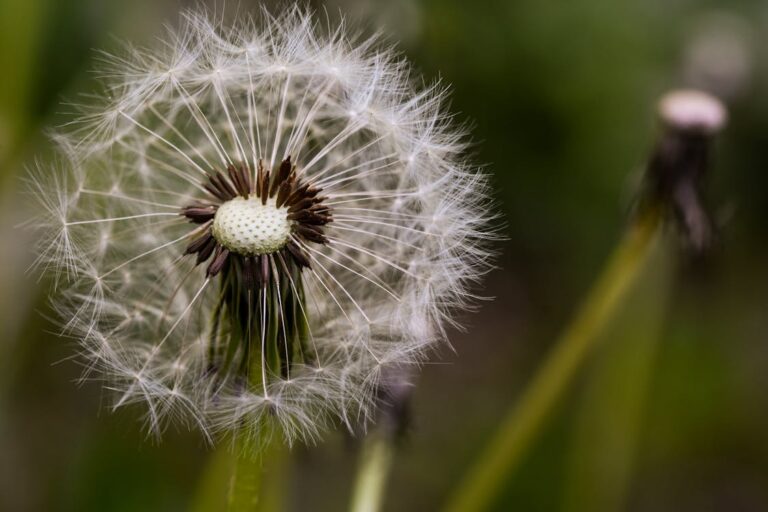 The Principle of Detachment
