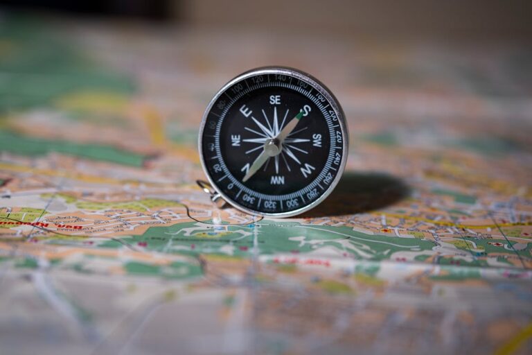 The Principle of Goal-Setting