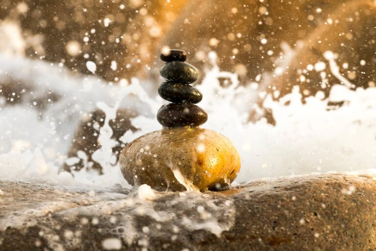 The Principle of Mindfulness