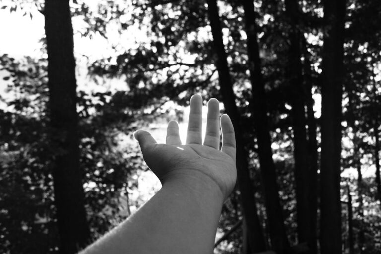 The Principle of Reception