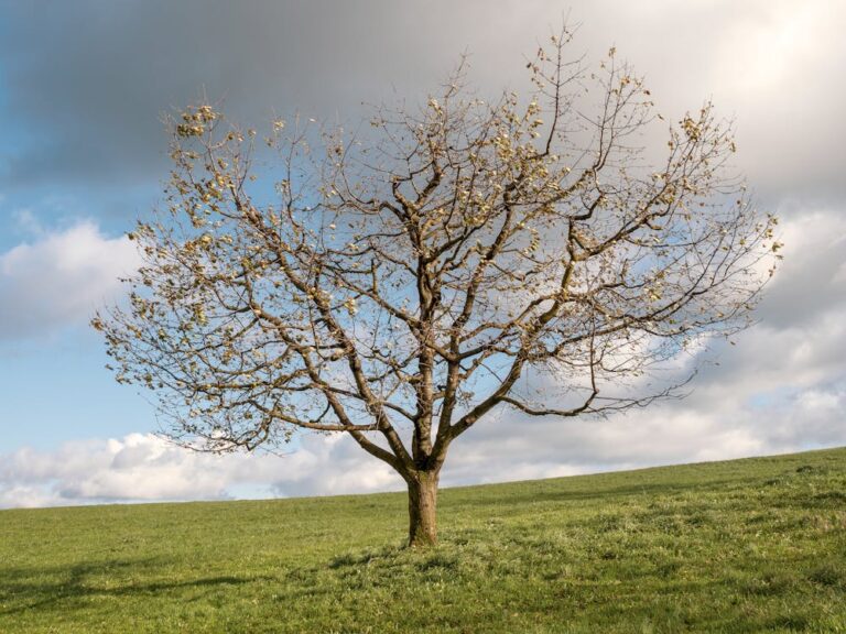 The Principle of Seasons