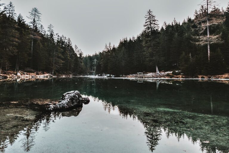 The Principle of Self-Awareness